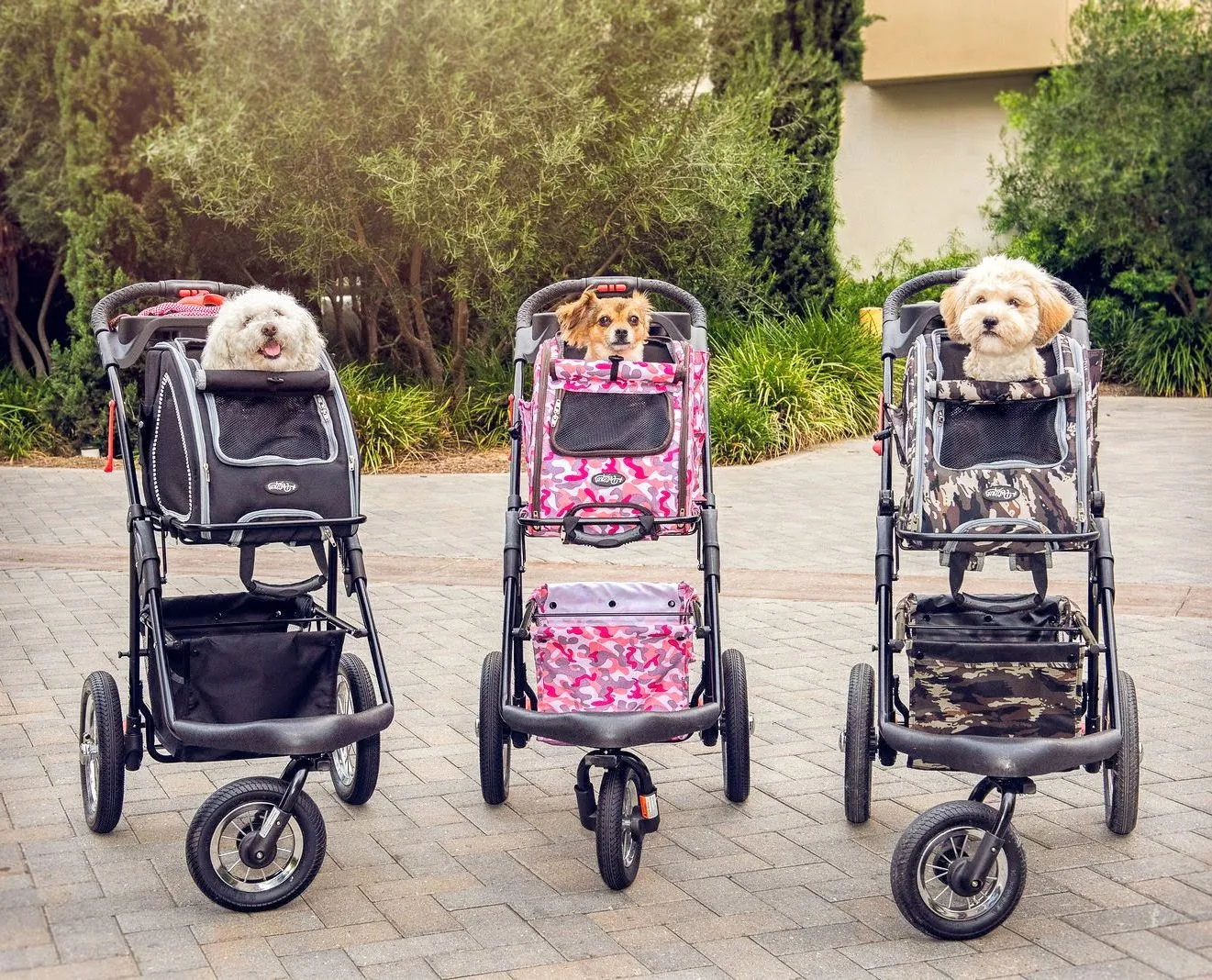 5-in-1 Complete Travel System with PET CARRIER and PET STROLLER, Stainless Steel Shock Absorption Bike Tires, Sturdy, Lightweight, Large Storage Basket, Supports pets up to 25LBS