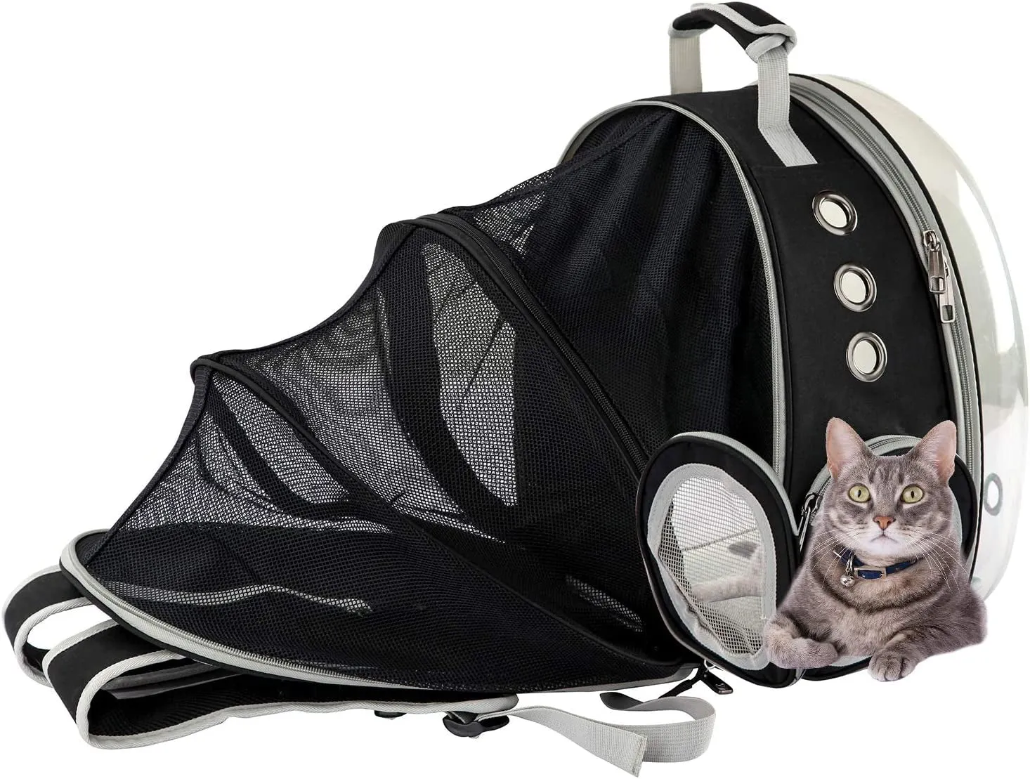 Black Cat Carrier