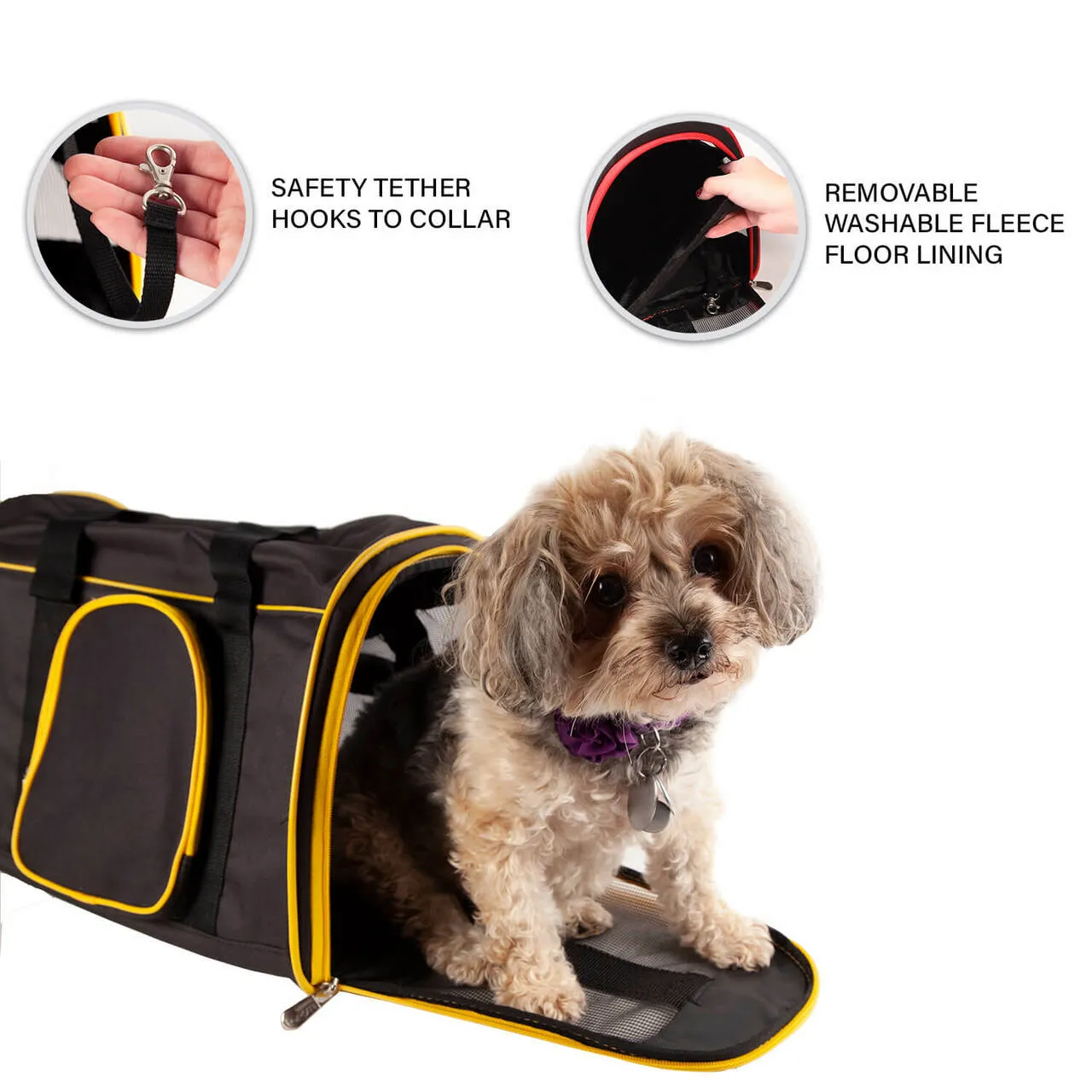 Eastern Washington 16" Premium Pet Carrier