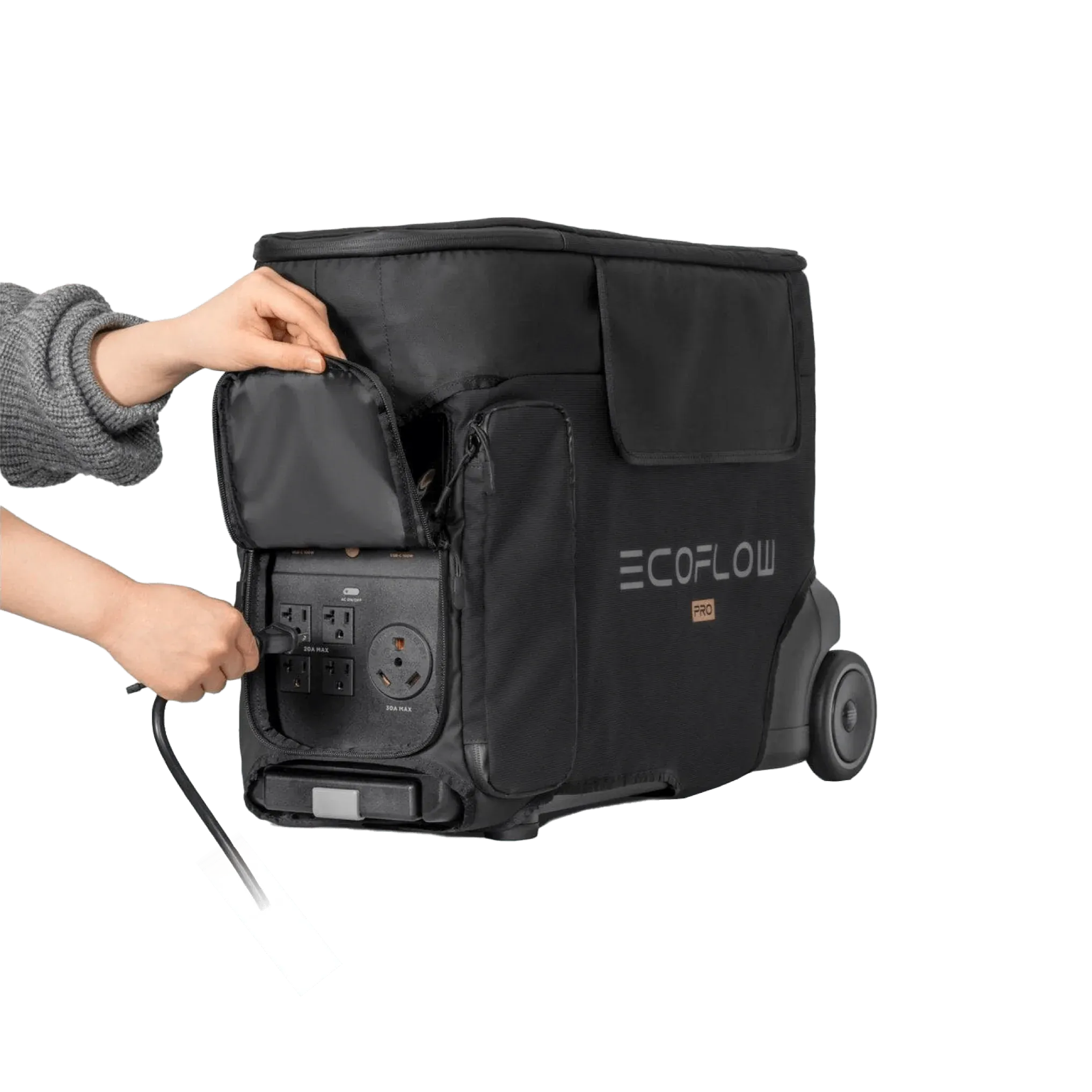 EcoFlow DELTA Pro Bag