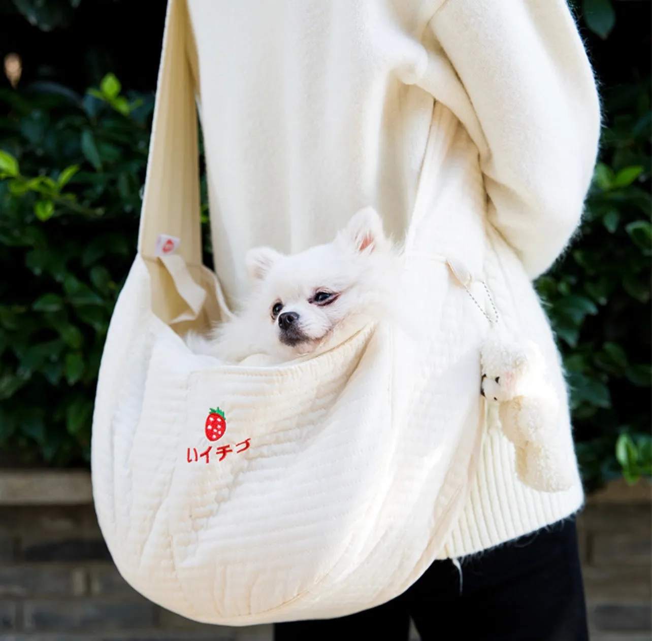 Hands-Free Dog & Cat Carrier