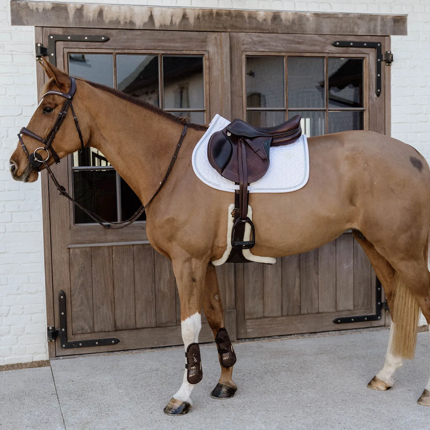 Kentucky Horsewear Glitter Rope Jumping Saddle Cloth - White/White