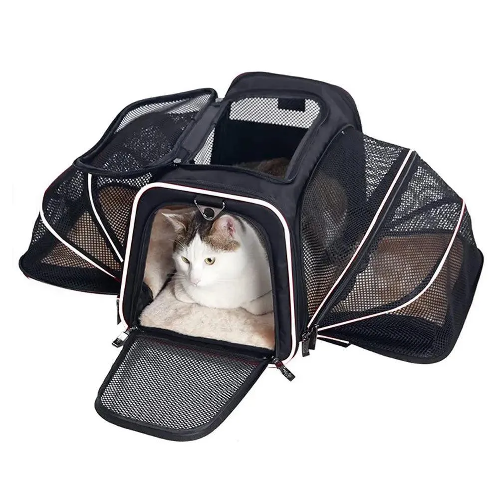 Pet Travel Carrier Bag: Safe & Stylish On-the-go Solution