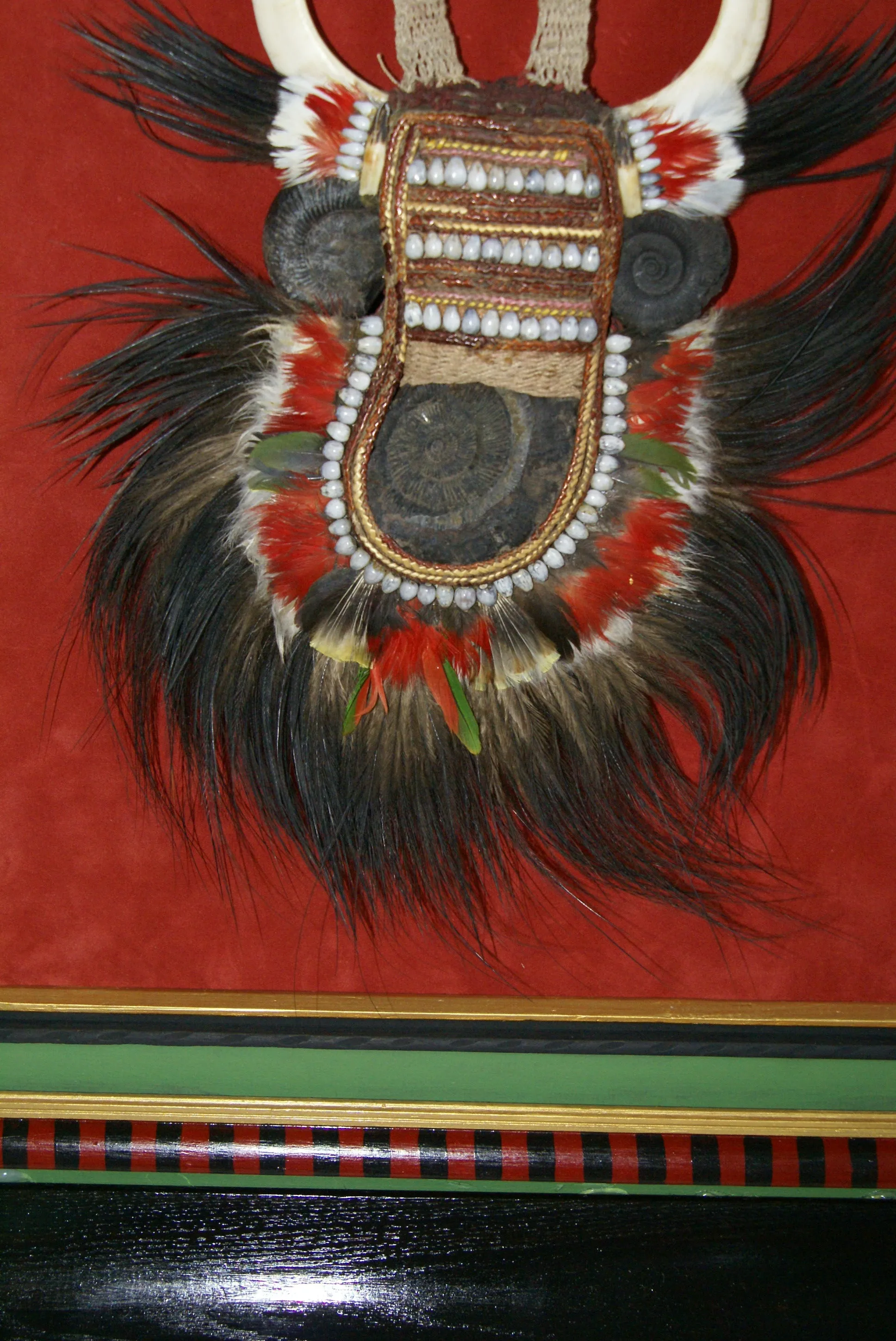 Rare Body Art : Dani “Big Man” Pectoral Trophy, Bride Price, Currency, Feud Payment, Highly Collectible: Ammonite, Boar Tusks, Cassowary, Seed beads, Bark Twine etc… Custom framed, 28” x 24 ½”, Collected in the late 1900’s. Museum Quality, New Guinea.