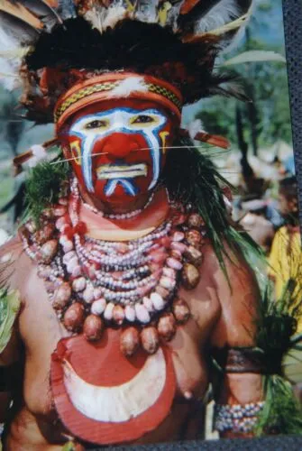 Rare Body Art : Dani “Big Man” Pectoral Trophy, Bride Price, Currency, Feud Payment, Highly Collectible: Ammonite, Boar Tusks, Cassowary, Seed beads, Bark Twine etc… Custom framed, 28” x 24 ½”, Collected in the late 1900’s. Museum Quality, New Guinea.