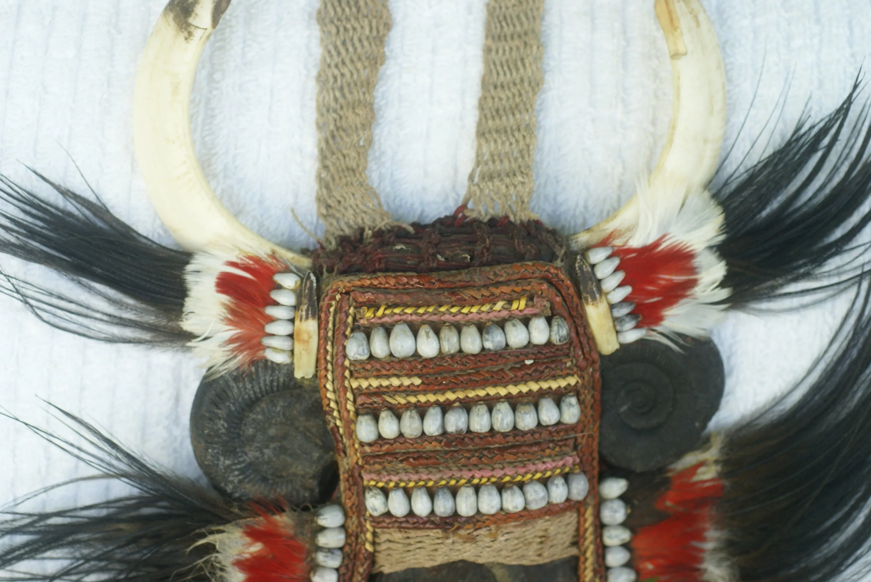 Rare Body Art : Dani “Big Man” Pectoral Trophy, Bride Price, Currency, Feud Payment, Highly Collectible: Ammonite, Boar Tusks, Cassowary, Seed beads, Bark Twine etc… Custom framed, 28” x 24 ½”, Collected in the late 1900’s. Museum Quality, New Guinea.