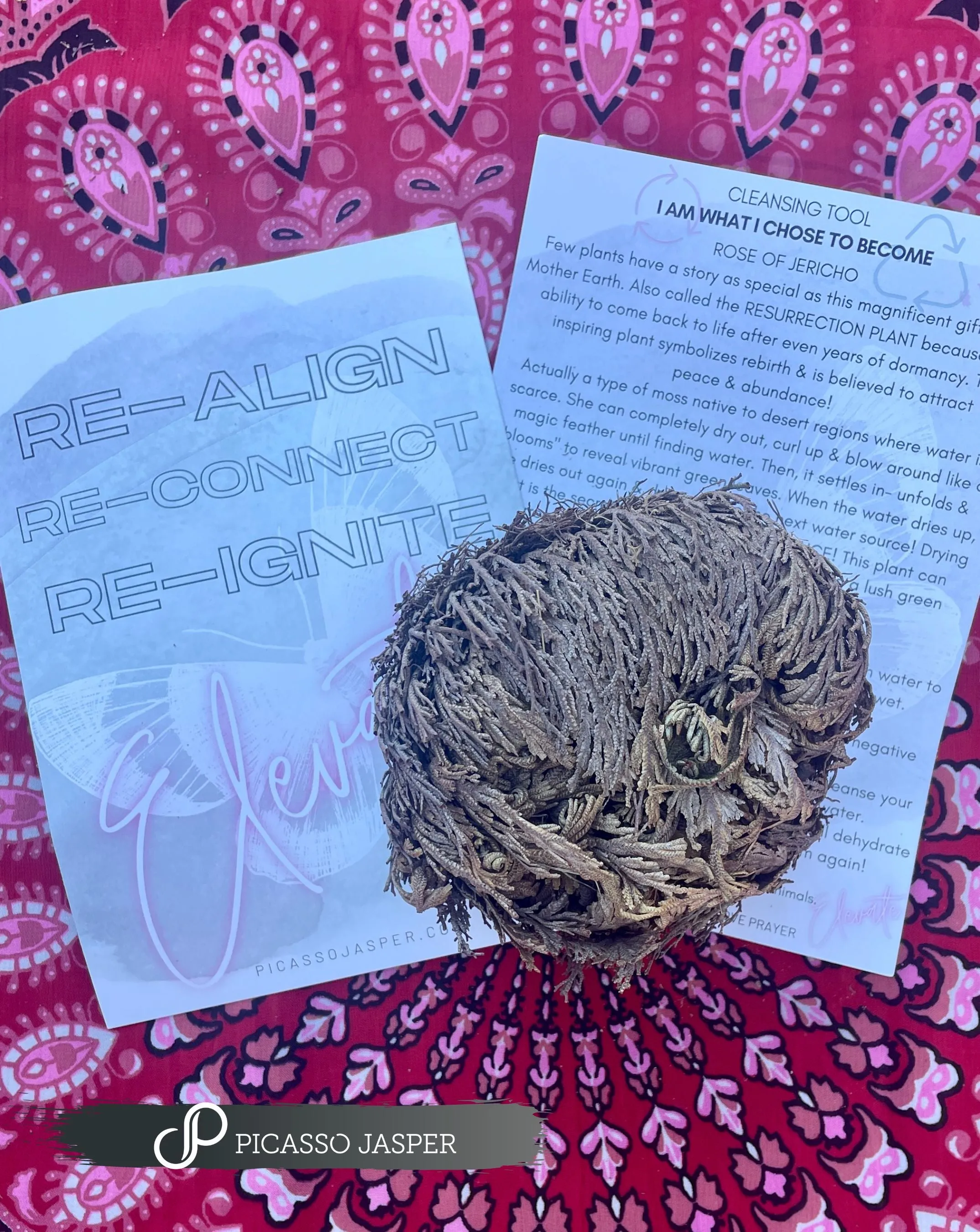 Rose of Jericho: Peace, Power & Abundance!