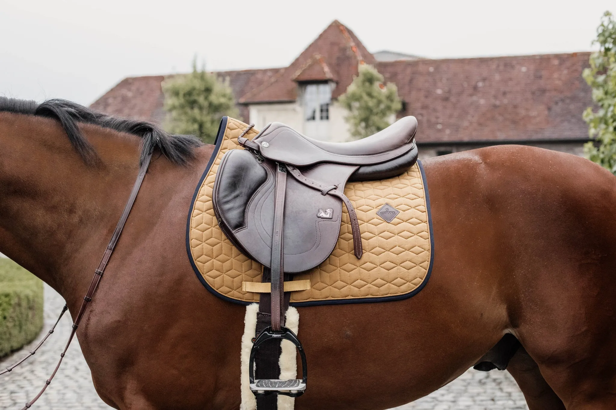 Saddle Pad Softshell Jumping