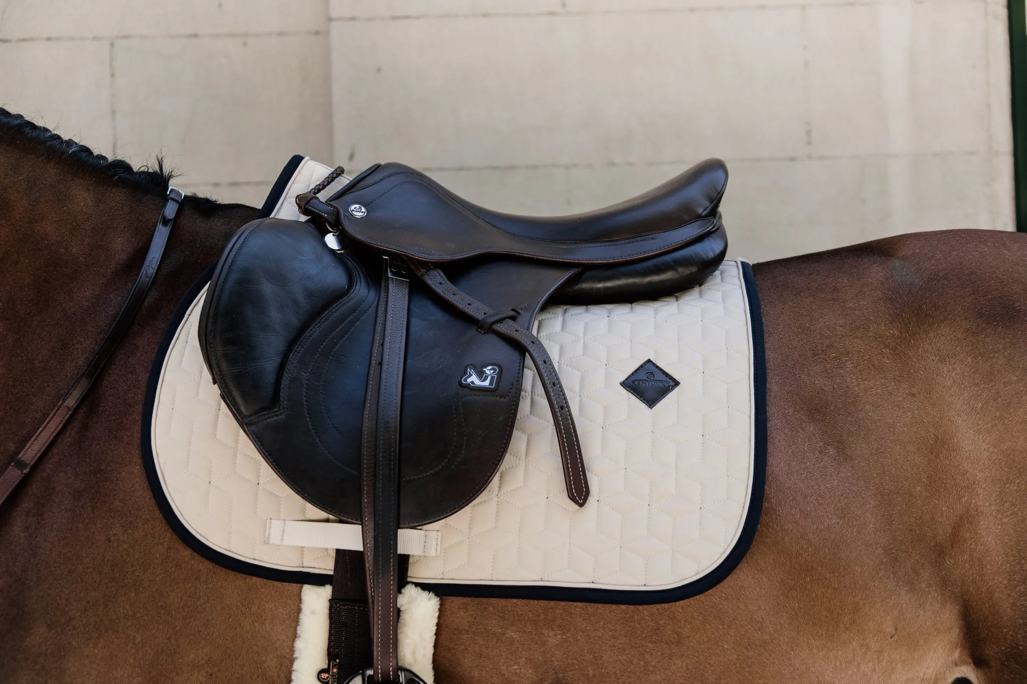 Saddle Pad Softshell Jumping