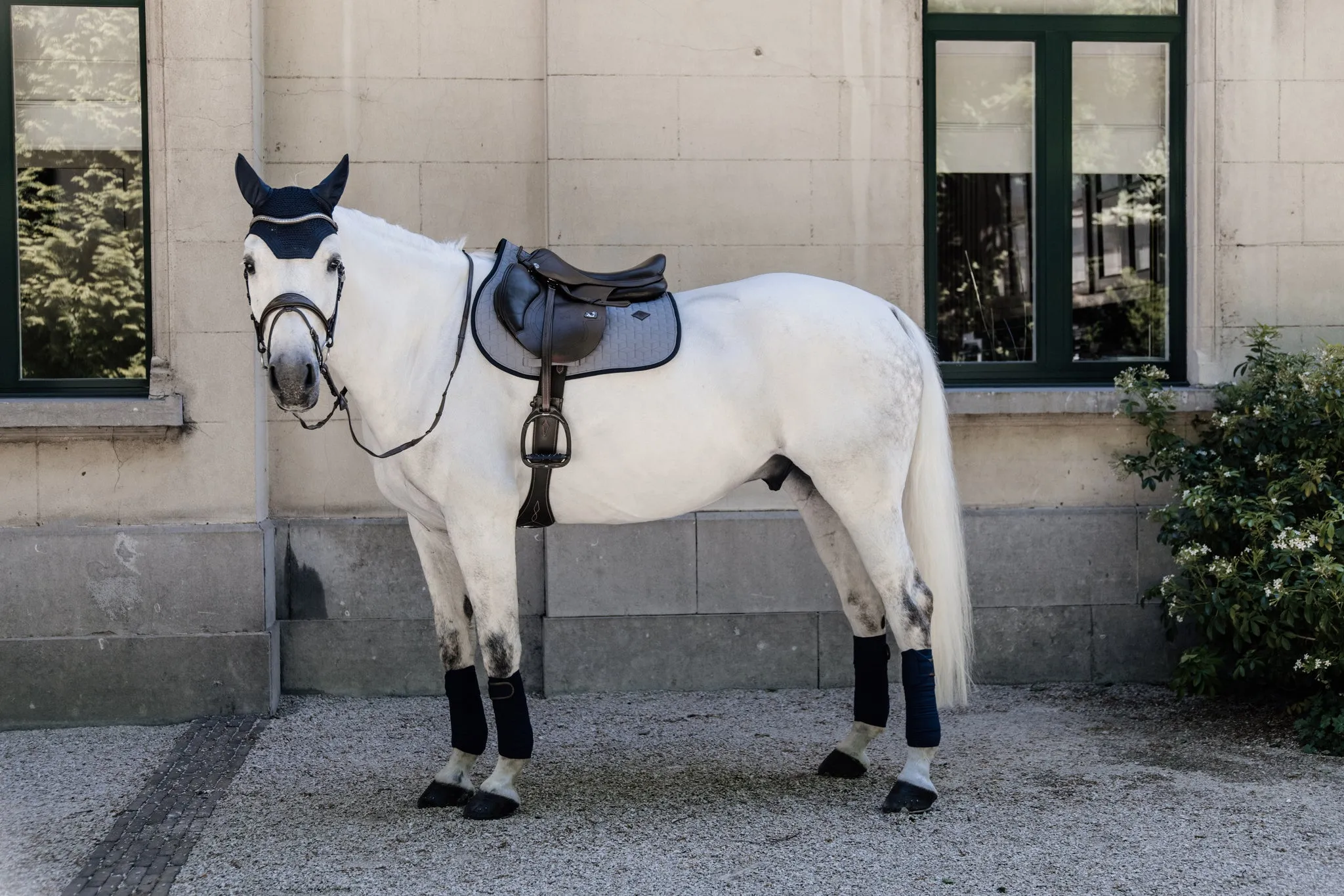 Saddle Pad Softshell Jumping