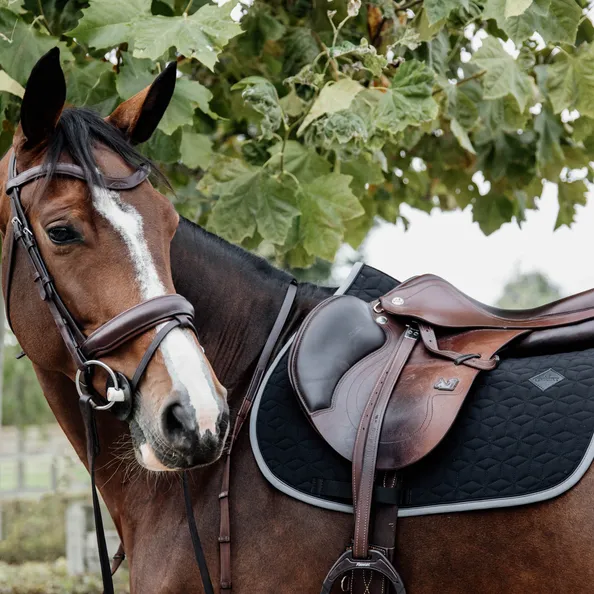 Saddle Pad Softshell Jumping