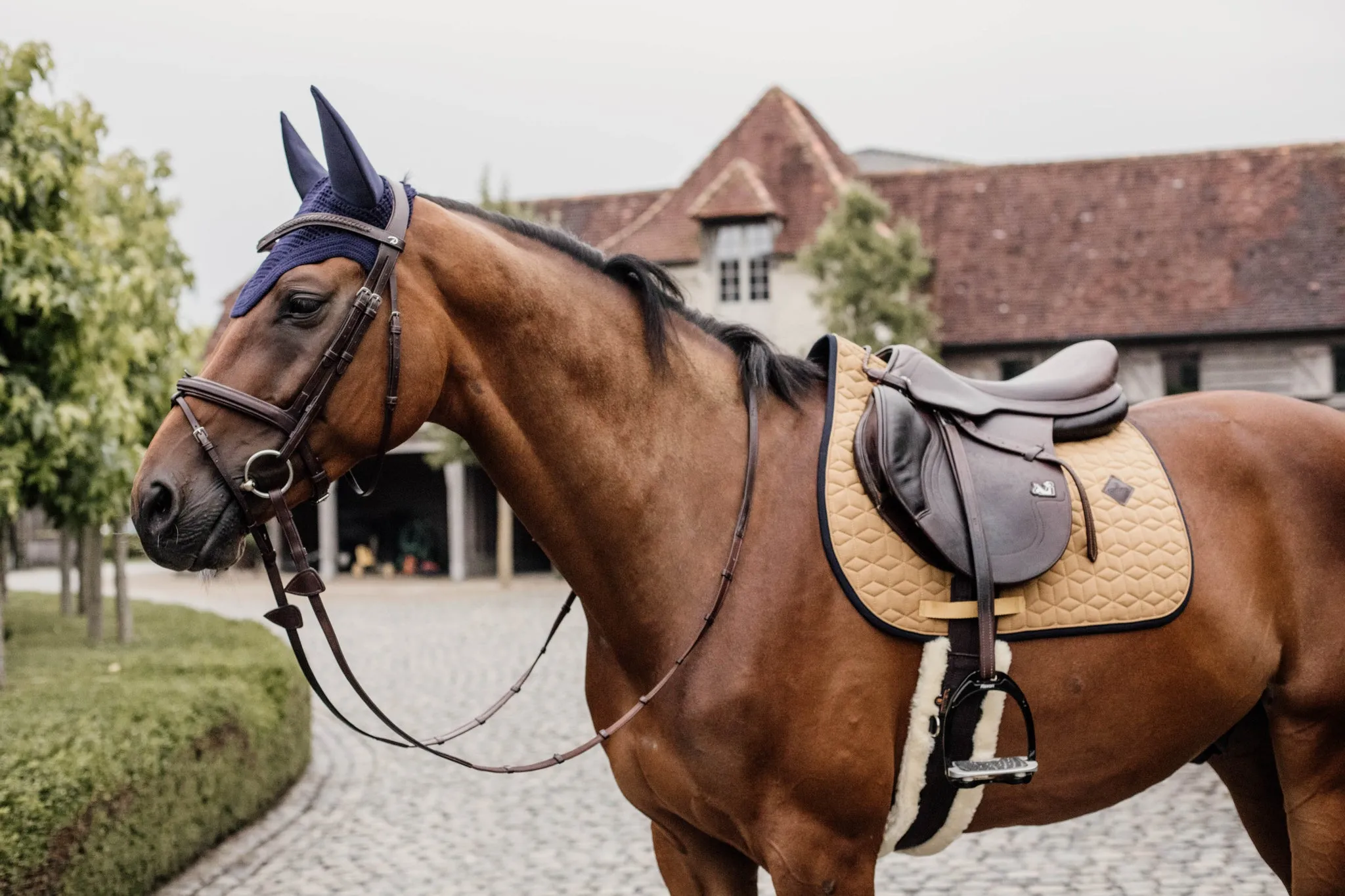 Saddle Pad Softshell Jumping