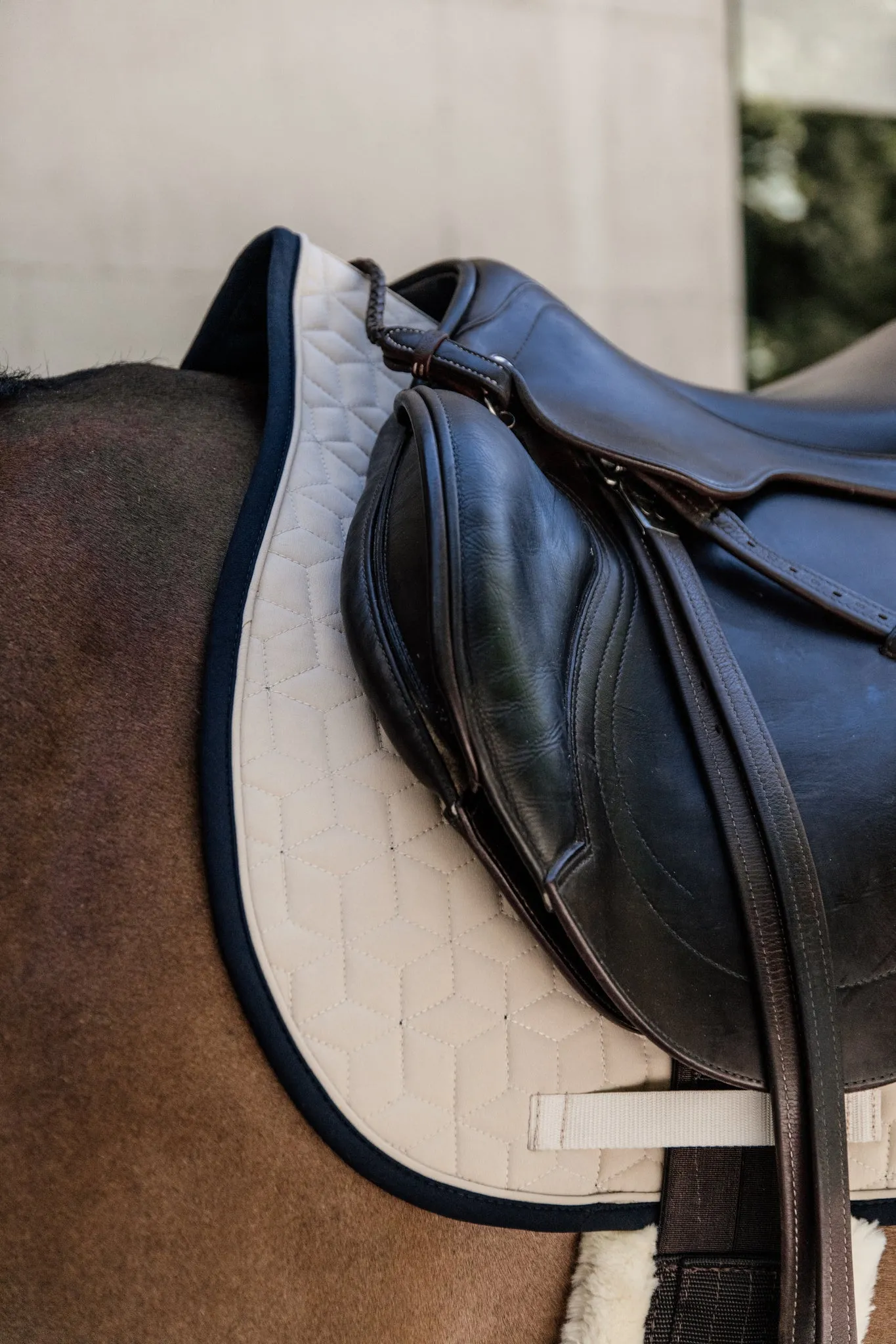 Saddle Pad Softshell Jumping