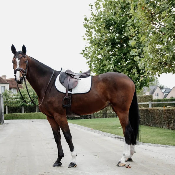 Saddle Pad Softshell Jumping