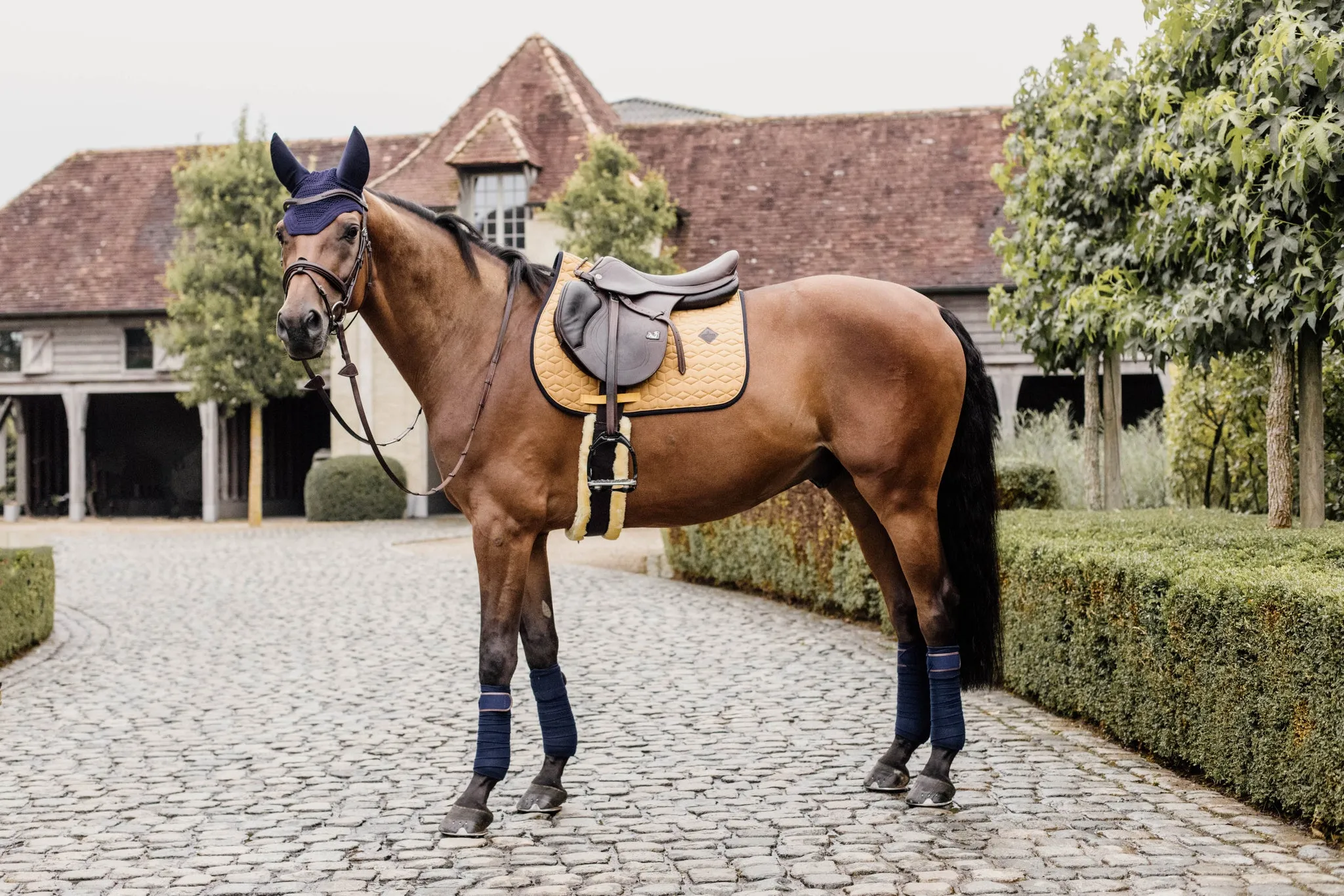 Saddle Pad Softshell Jumping