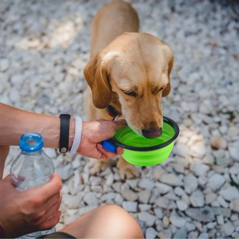 Water Food Bowl for Dogs Cats Collapsible Silicone with Carabiner Clip